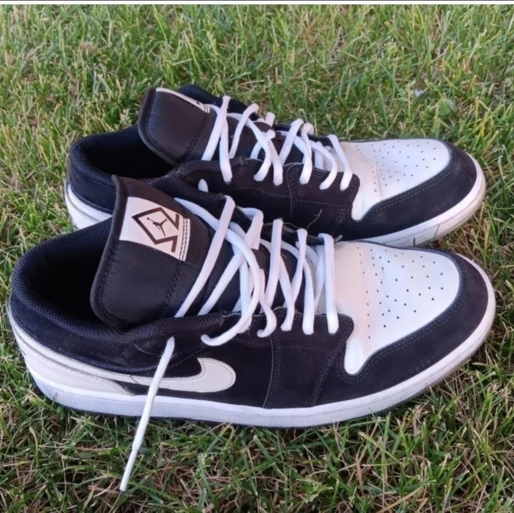 NIKE AIR JORDAN 1 Low SE 
